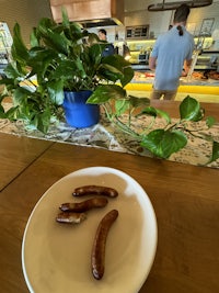 a plate of sausages on a table next to a plant