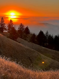 the sun is setting over a hill with grass and trees